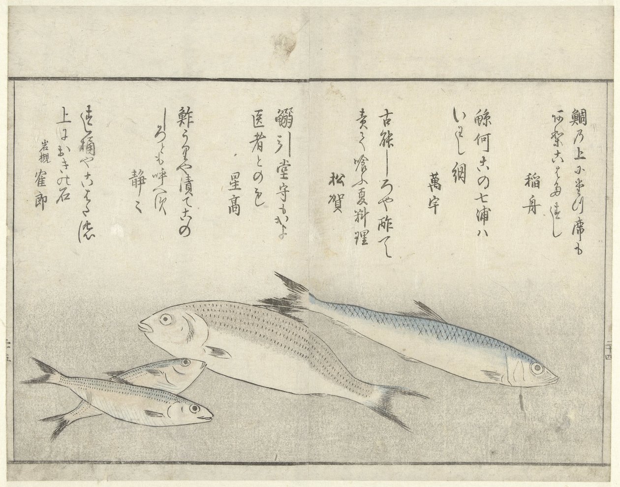 Four Fish by Kitao Masayoshi