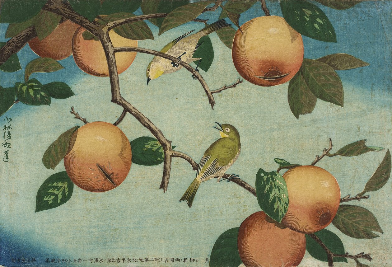 Persimmons and White-Eyes by Kobayashi Kiyochika