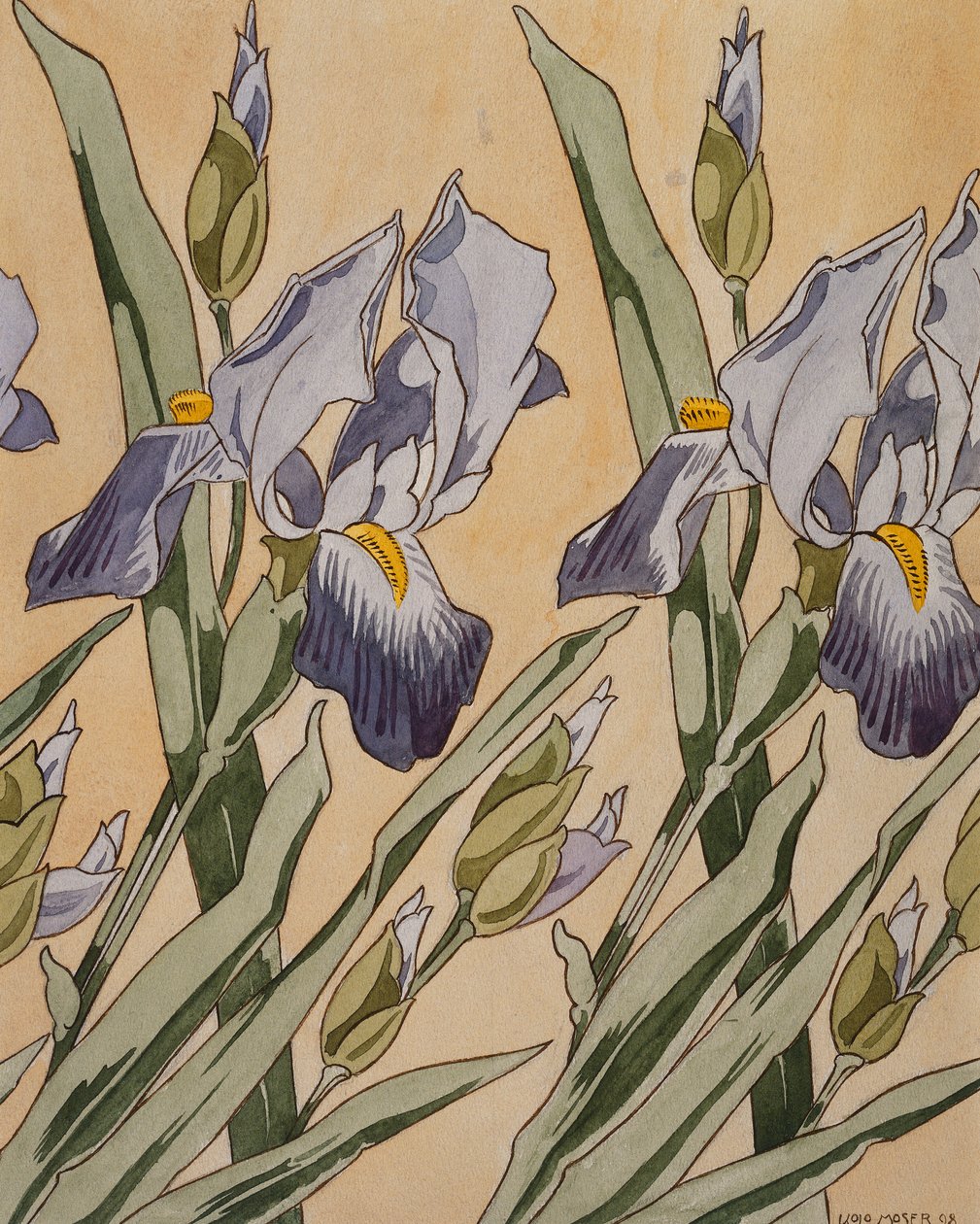 Iris by Koloman Moser
