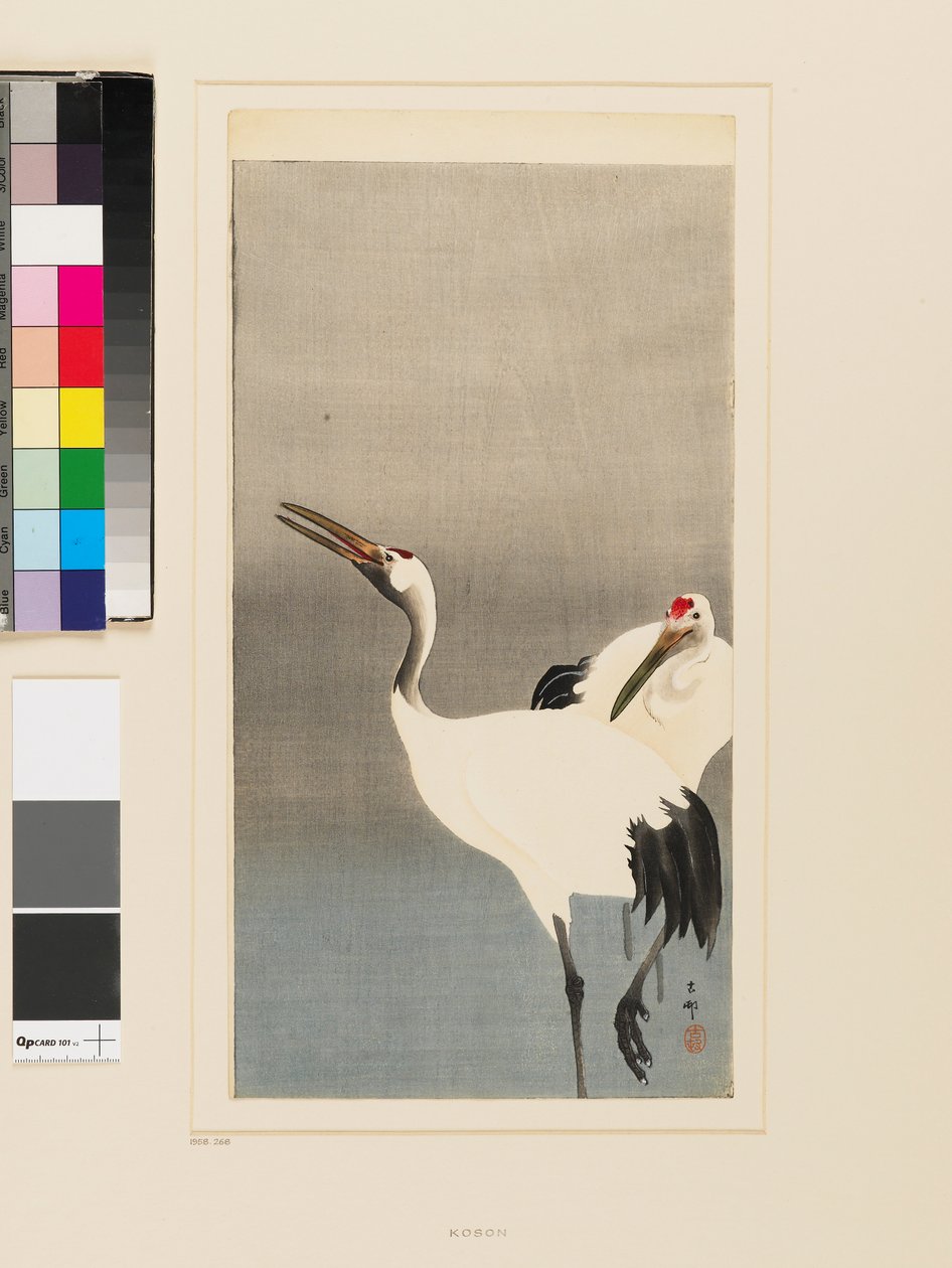 Two Japanese cranes wading in a pond by Koson Ohara
