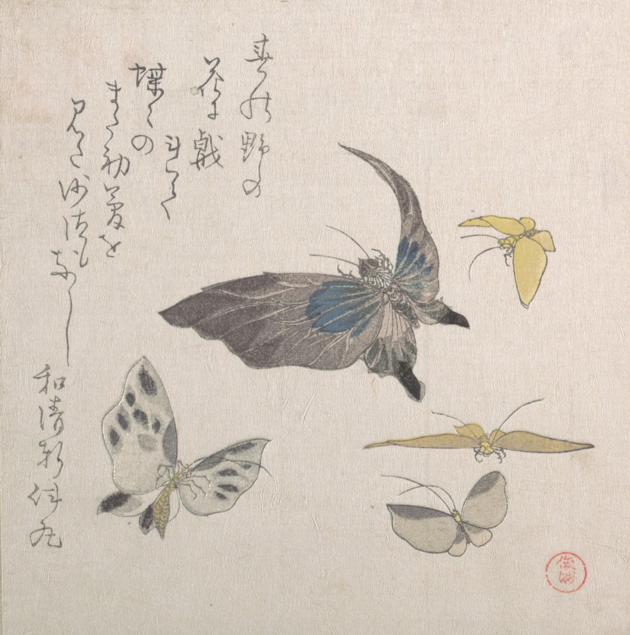 Butterflies, 19th century by Kubo Shunman