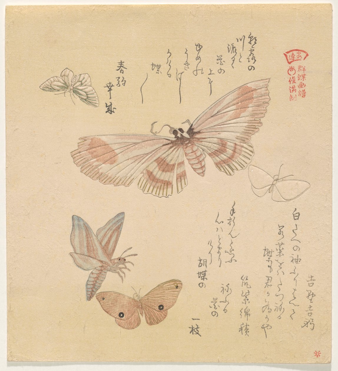 Butterflies and Moths, from the series A Flock of Butterflies by Kubo Shunman