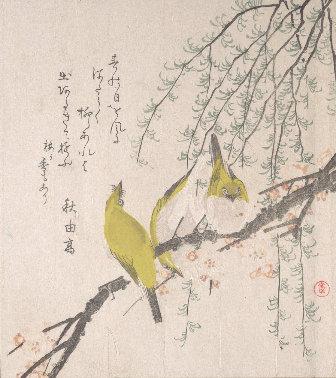 Japanese White-eyes with Plum Tree and Willow by Kubo Shunman