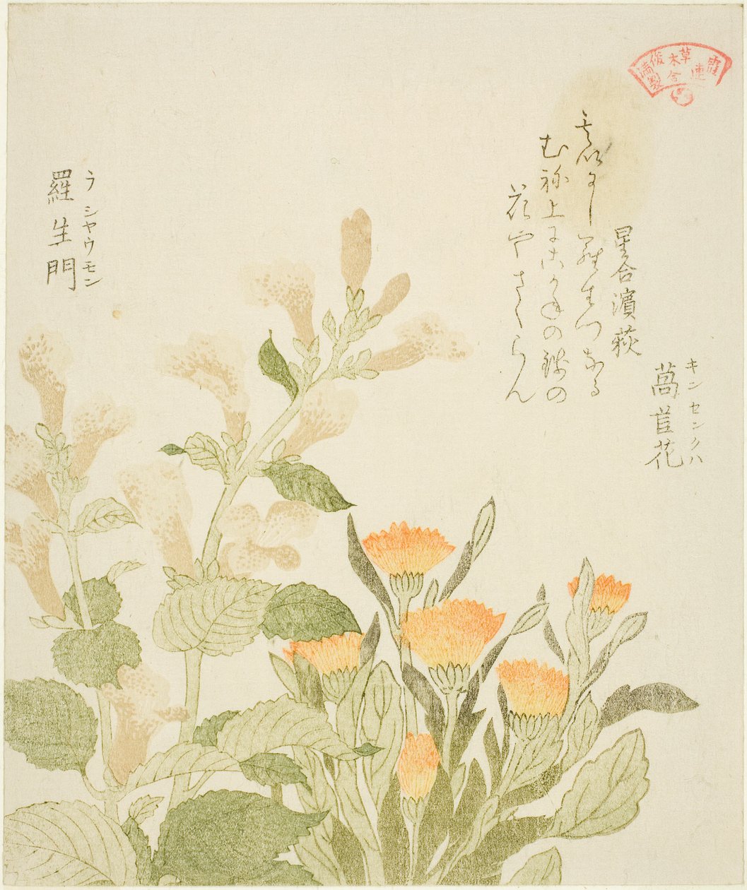Marigold and Rashomon Flowers, from the series "Collection of Plants for the Kasumi Poetry Circle" by Kubo Shunman