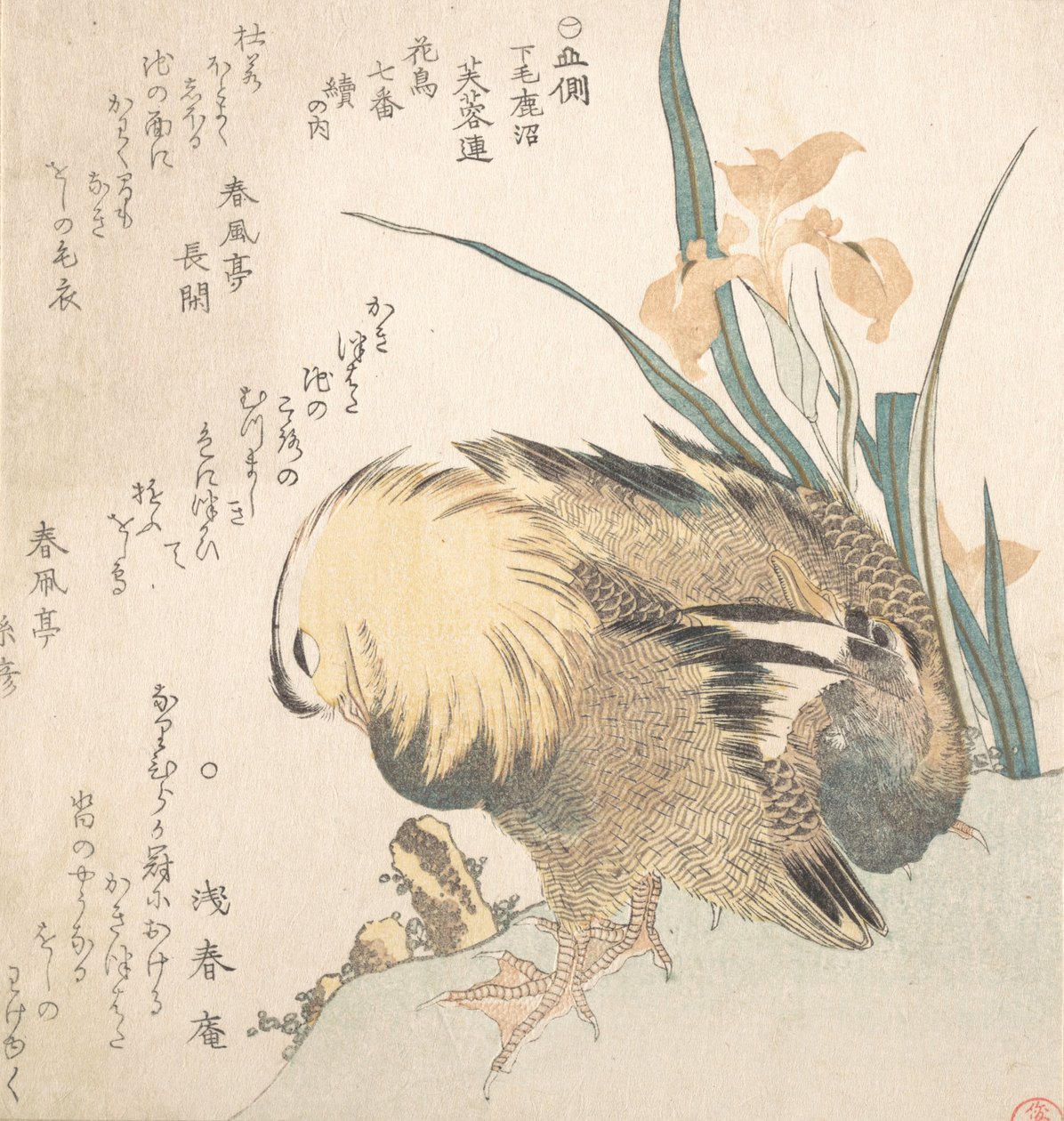 Pair of Mandarin Ducks and Iris Flowers by Kubo Shunman