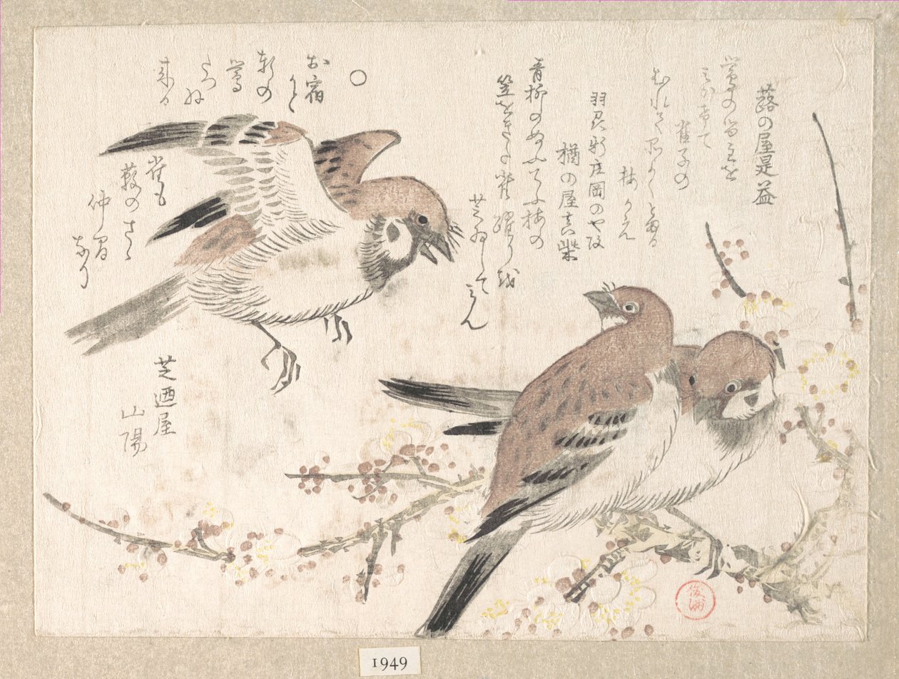 Sparrows and Plum Blossoms by Kubo Shunman