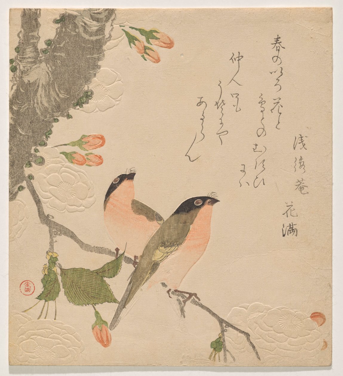 Two Bullfinches on a Double-Petalled Cherry Tree by Kubo Shunman