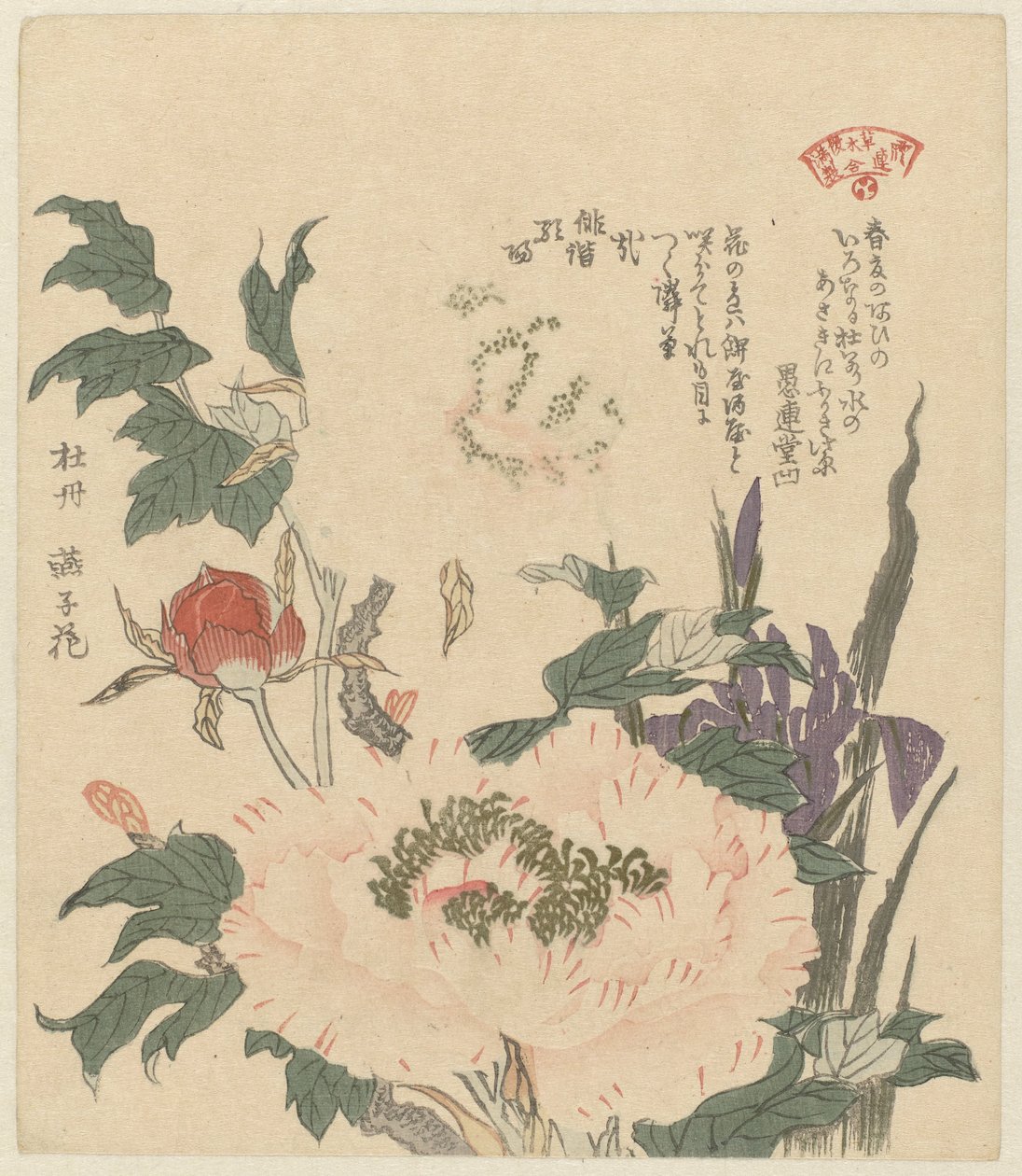 Peonies and Irises by Kubota Shunman
