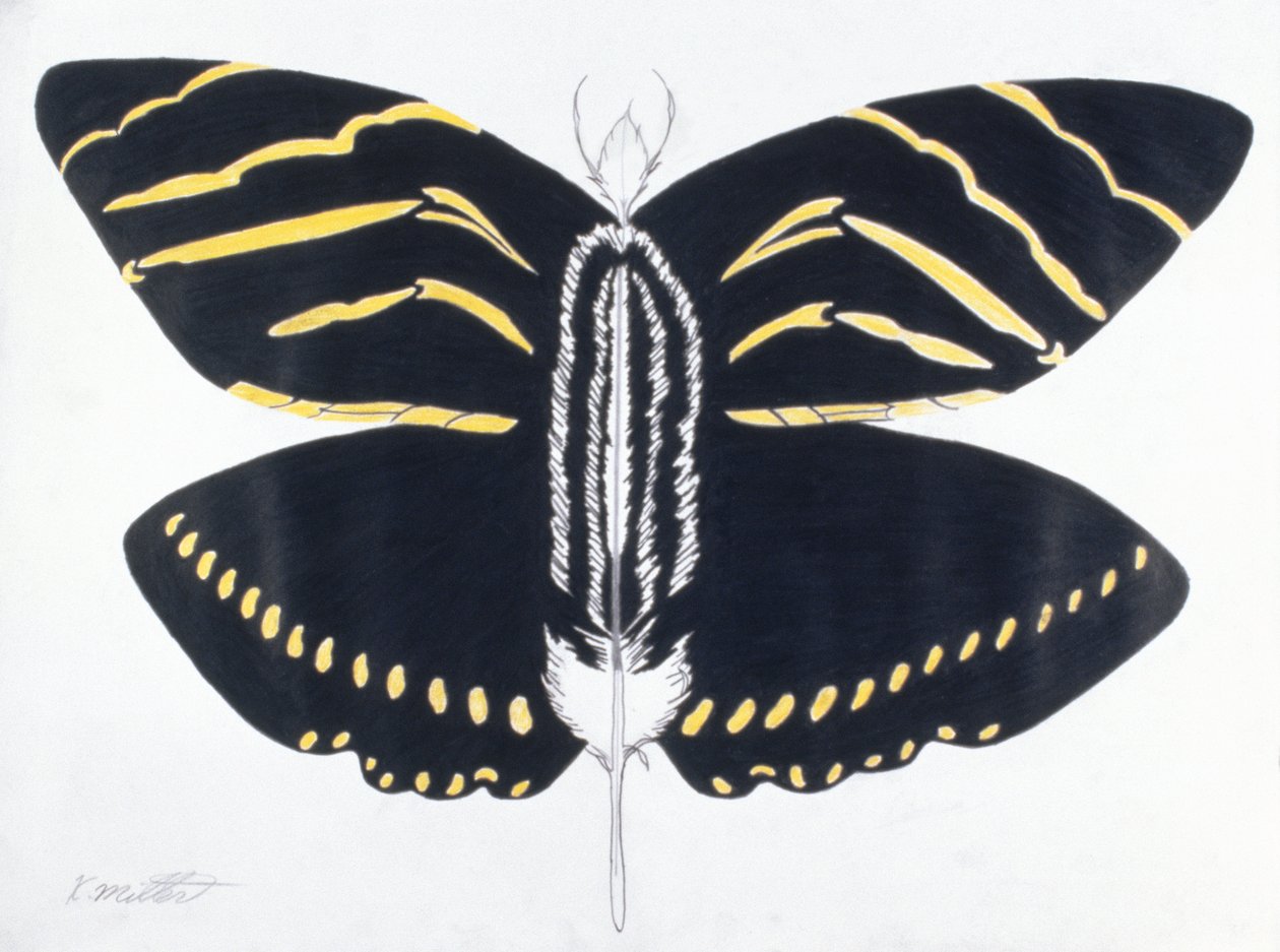 Feathered Butterfly, 2004 by Kurtis L. Miller