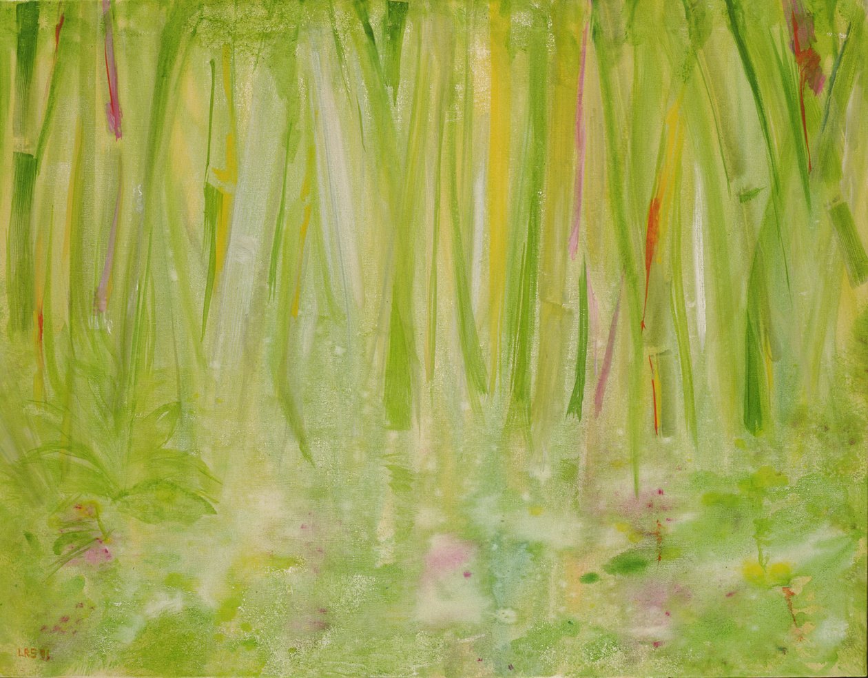 Impression of the Rain Forest by Laila Shawa