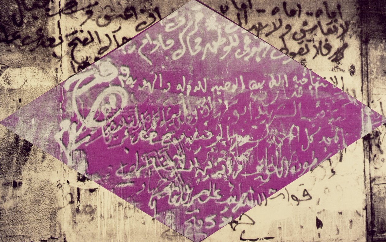 Letter to a Mother by Laila Shawa