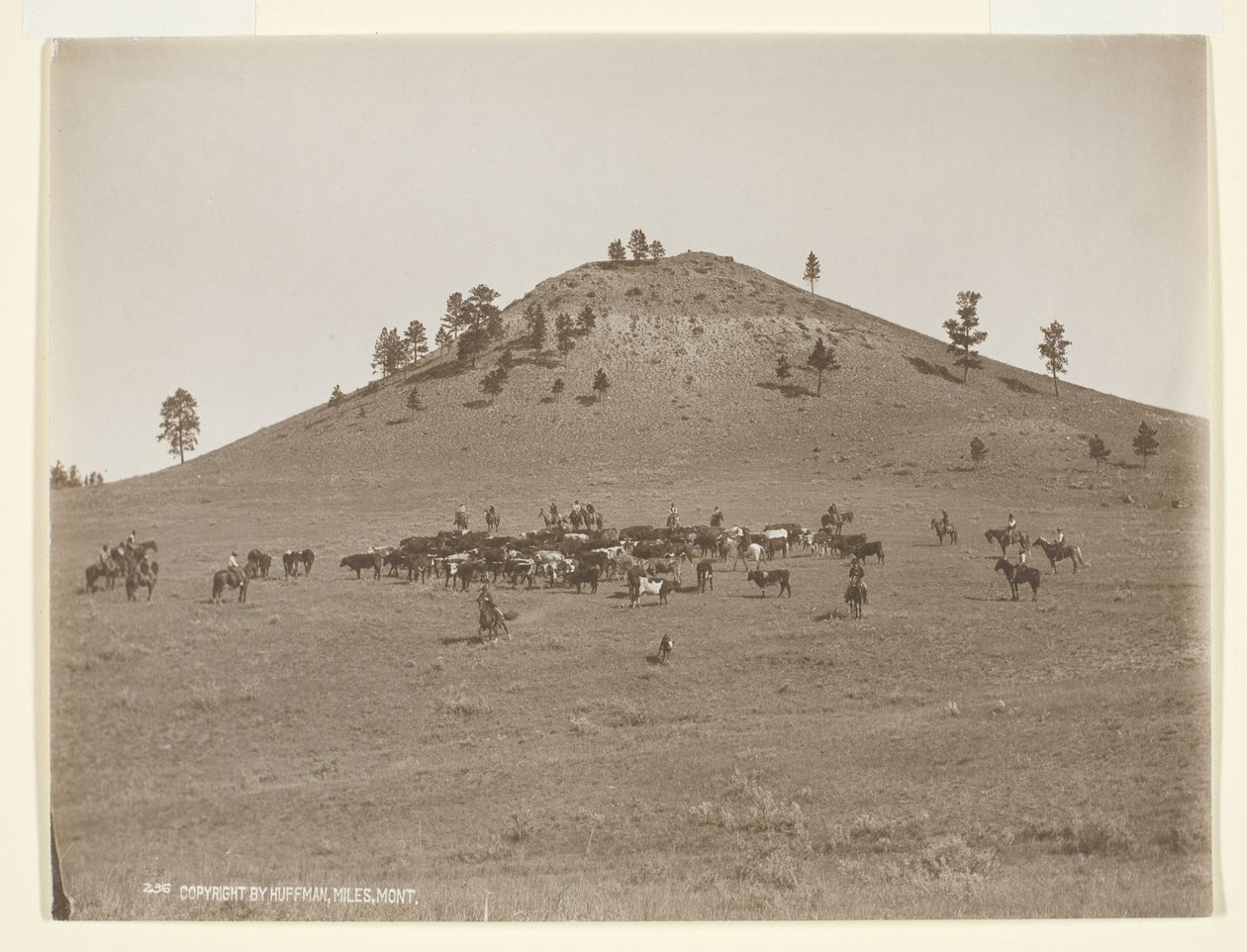 Working a Little Bunch in the Hills by Laton Alton Huffman