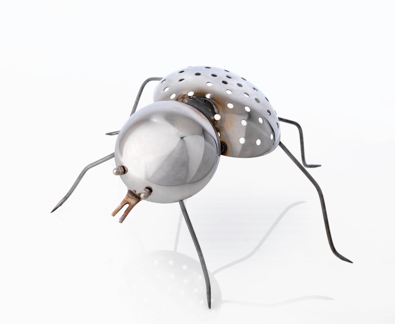 The Insect by Lawrie Simonson