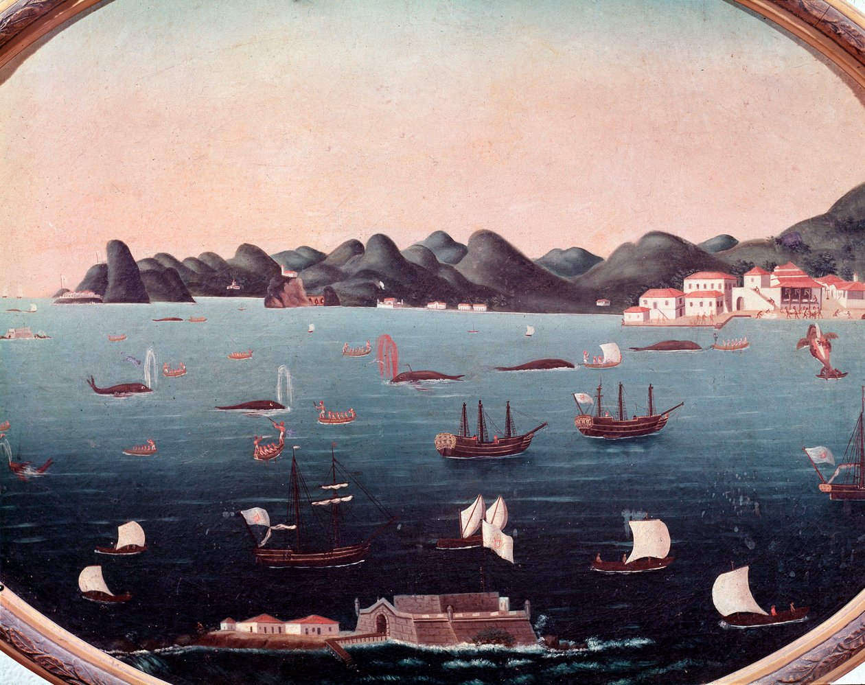 Whaling in the Bay of Guanabara in Brazil by Leandro Joachim