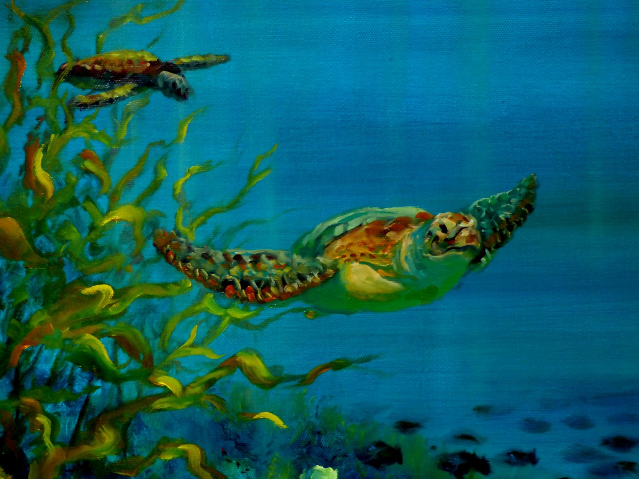 Green Turtle by Lee Campbell
