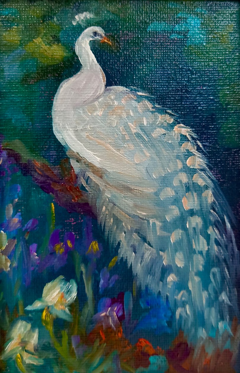 White Peacock, 2025 by Lee Campbell