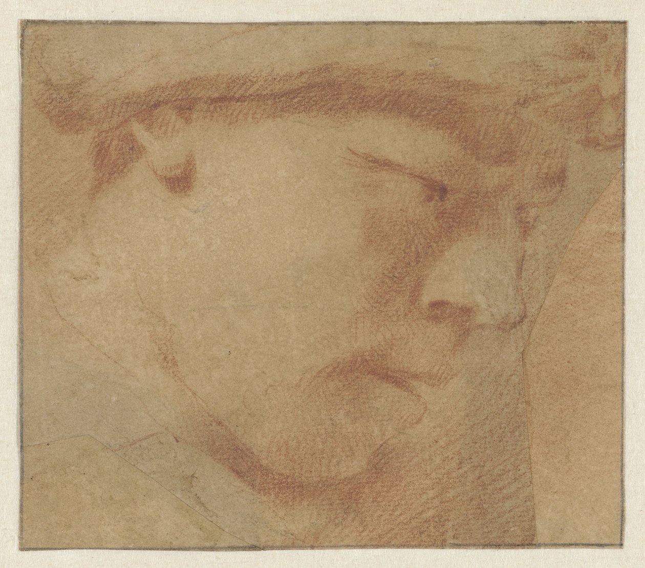 Head of a Boy, Facing Right by Leendert van der Cooghen (manner of)
