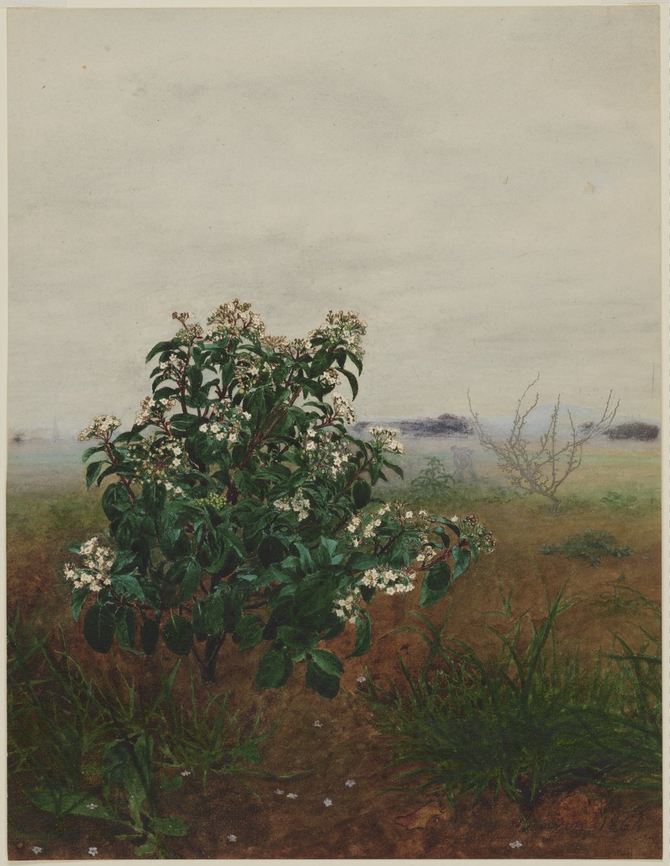 Flowering Laurustinus in front of a Landscape by Léon Bonvin