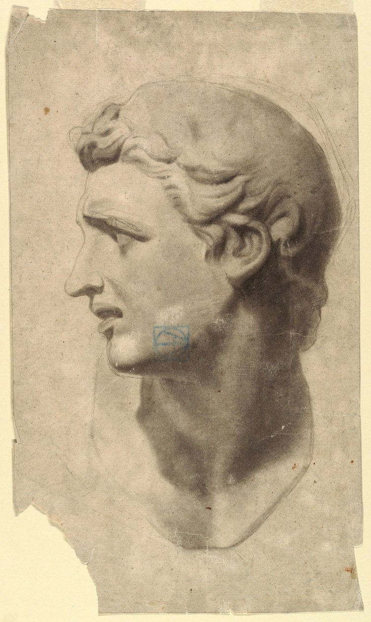 Study of a Classical Male Head (from a plaster cast), 1881–92 by Leon Dabo