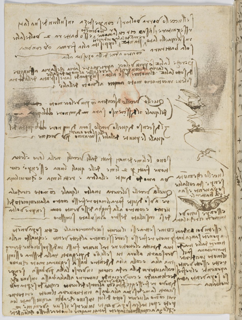 Birds Flight Code, Sheet 10 Verso by Leonardo da Vinci