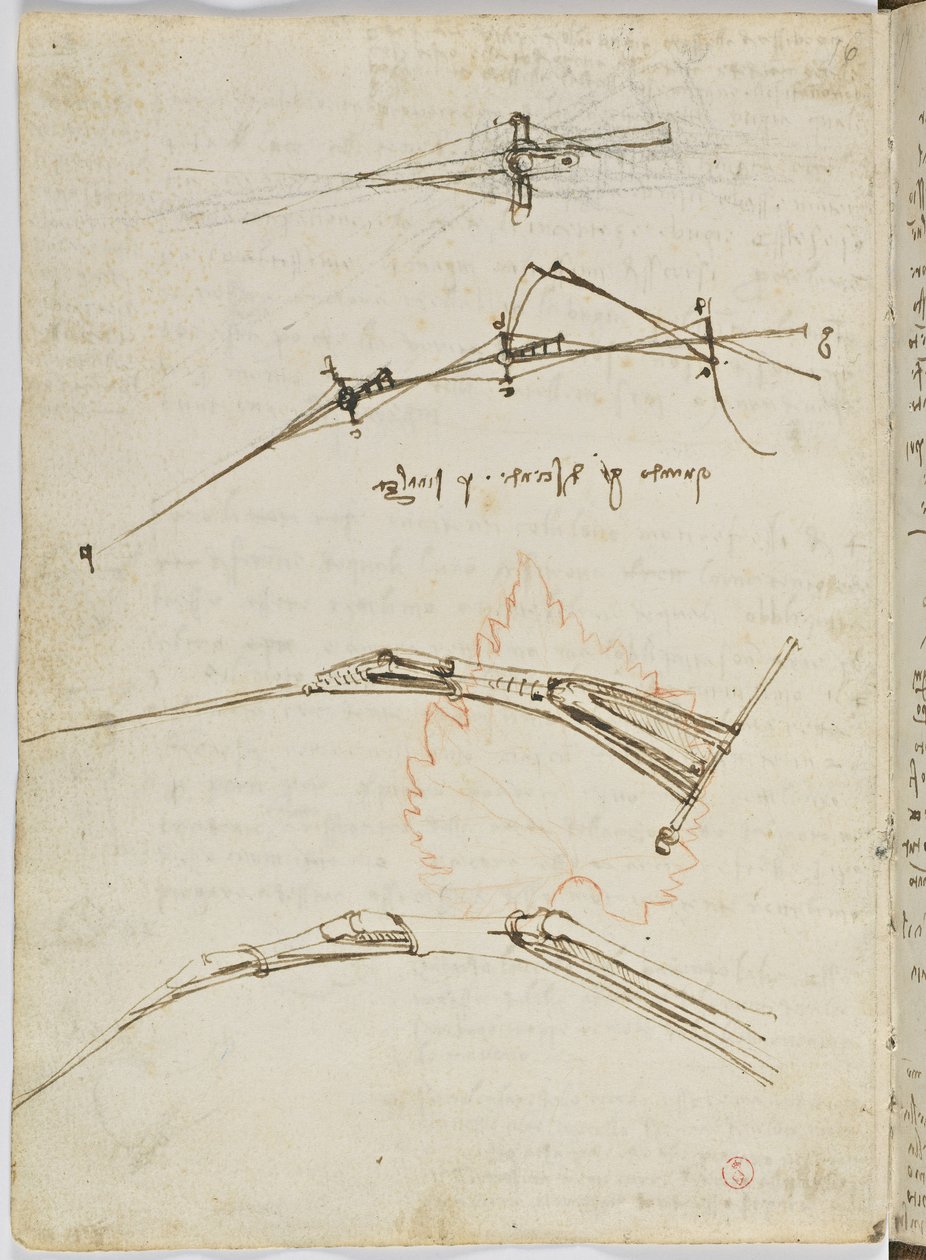 Birds Flight Code, Sheet 11 Verso by Leonardo da Vinci