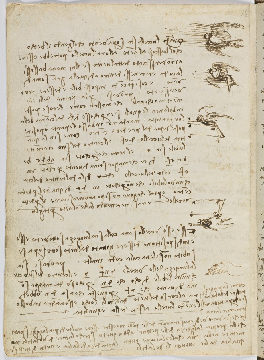 Birds Flight Code, Sheet 8 Verso by Leonardo da Vinci