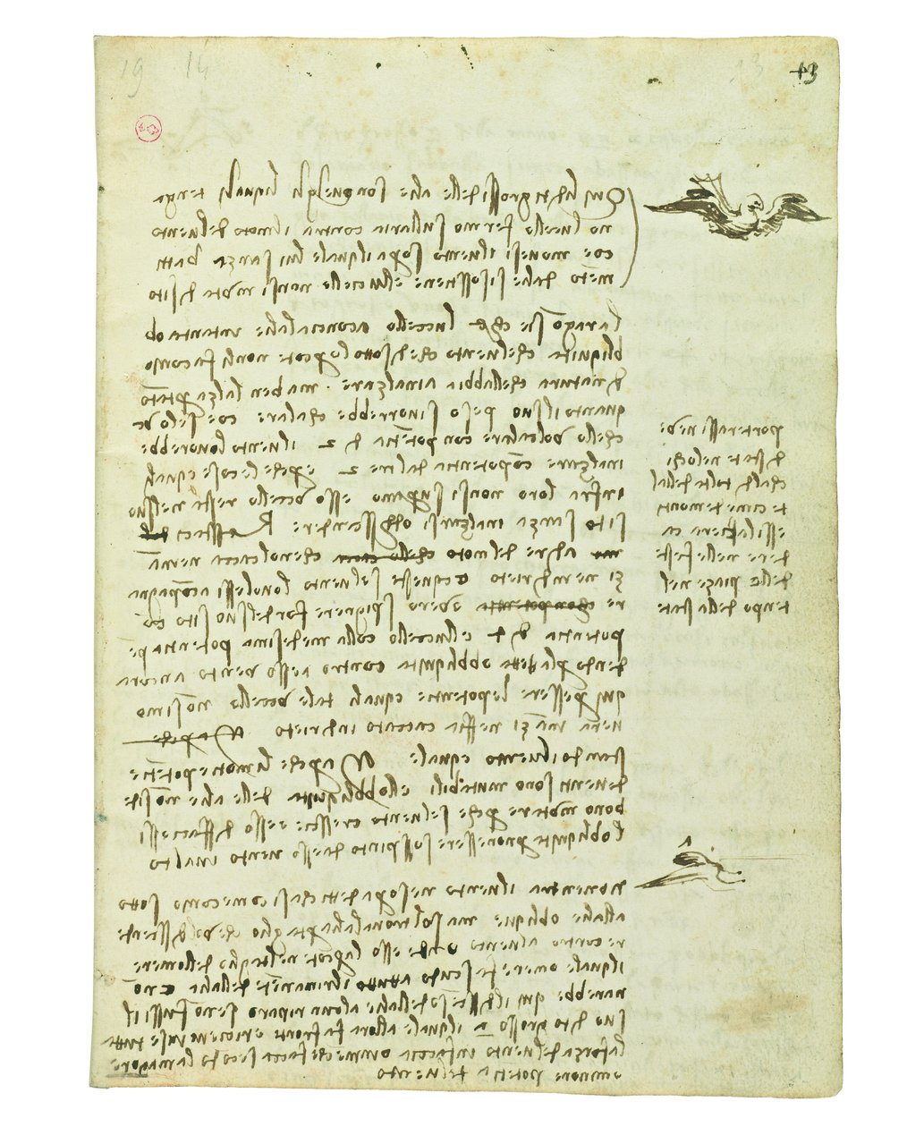 Codex on the Flight of Birds, Folio 13 Recto by Leonardo da Vinci