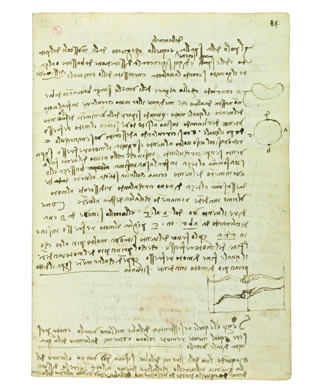 Codex on the Flight of Birds, Folio 14 Recto by Leonardo da Vinci