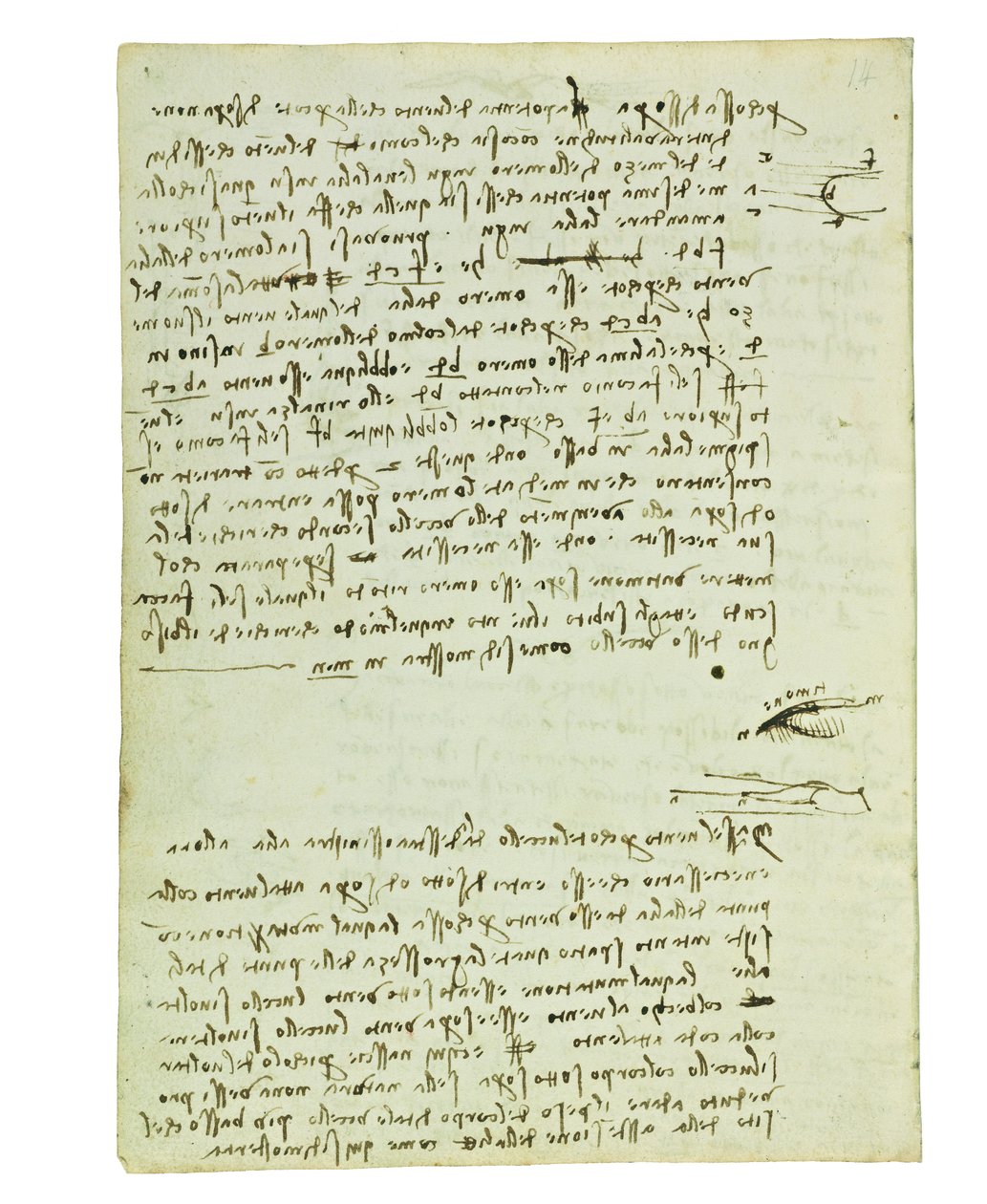 Codex on the Flight of Birds, Folio 9 Verso by Leonardo da Vinci