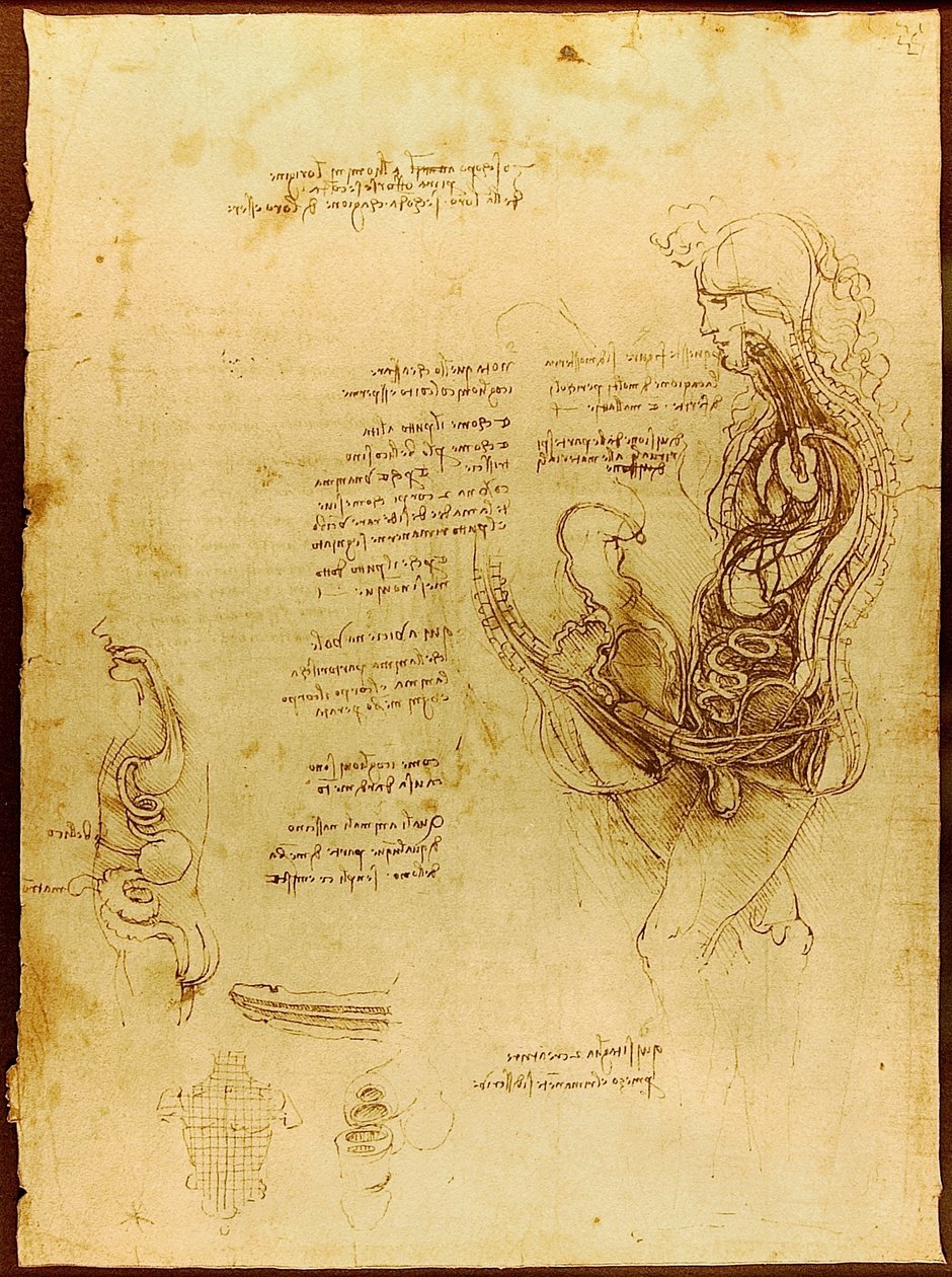 Coition of a Hemisected Man and Woman by Leonardo da Vinci