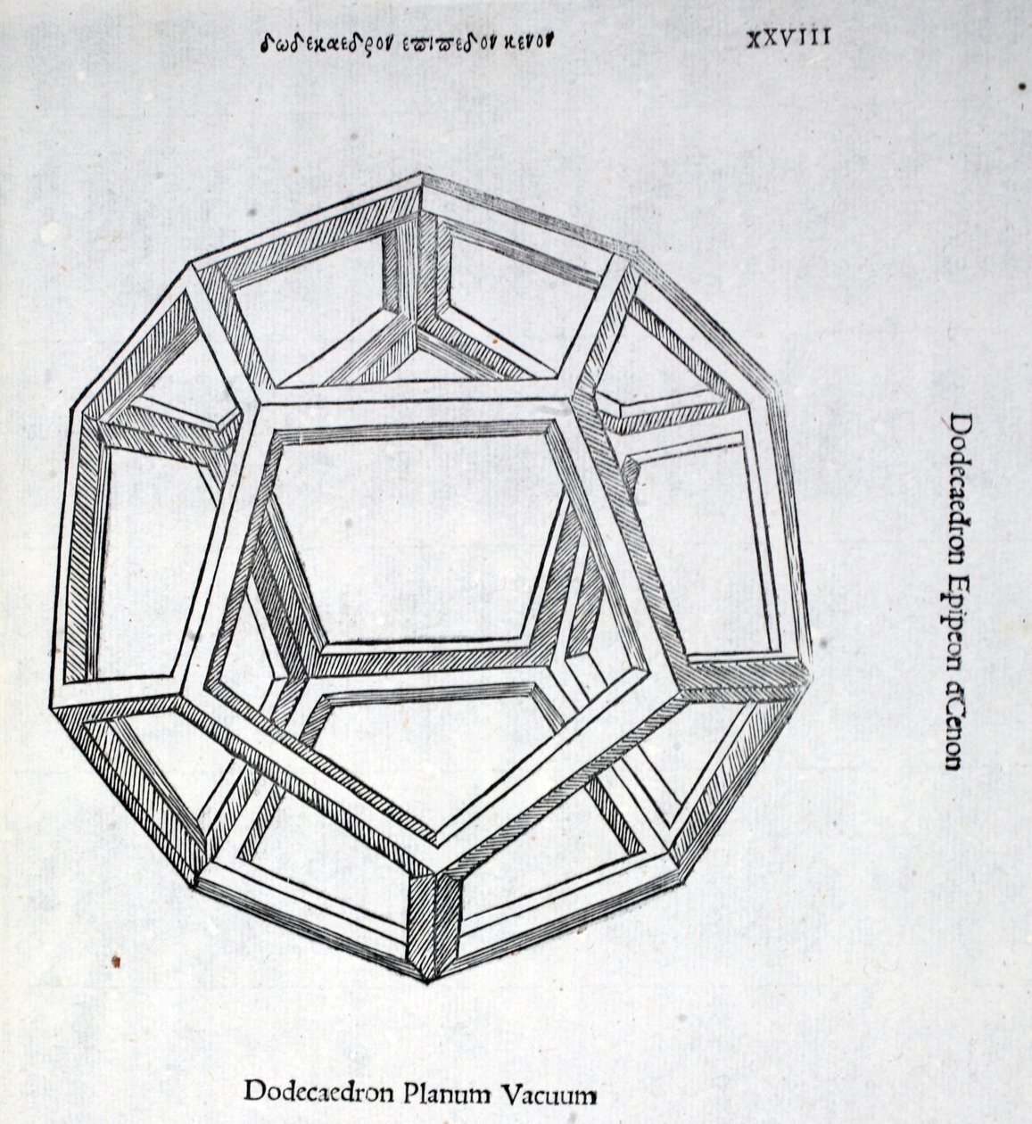 Dodecaedron planum vacuum, illustration from 