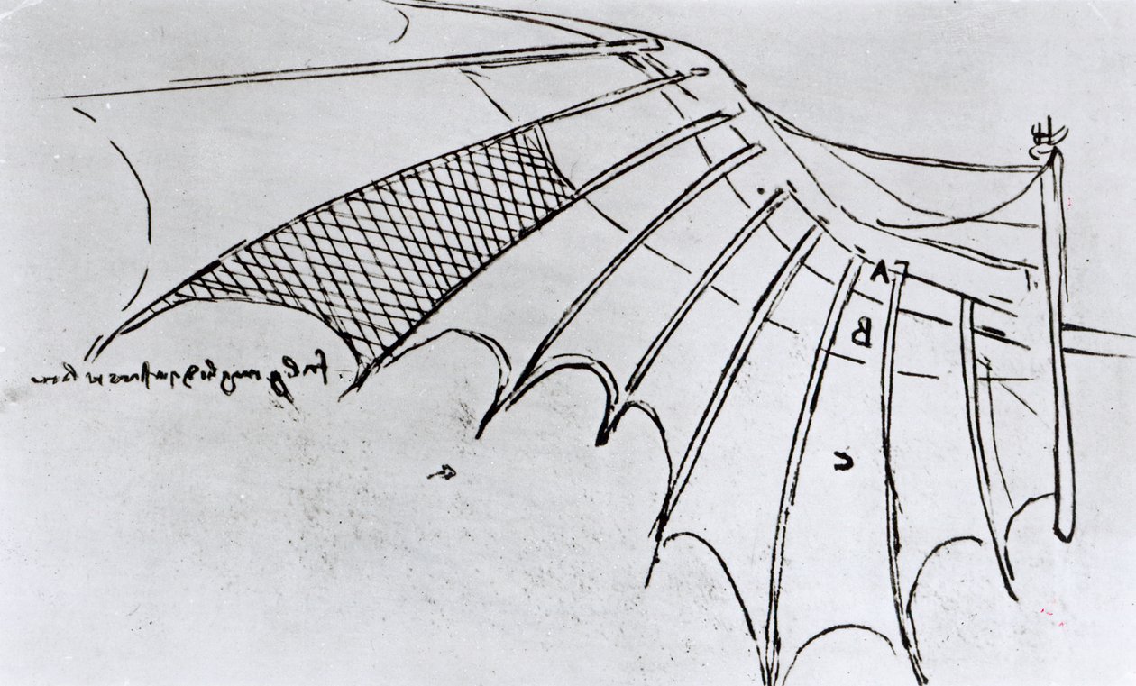 Studies of Wing Articulation, 1487-90 by Leonardo da Vinci