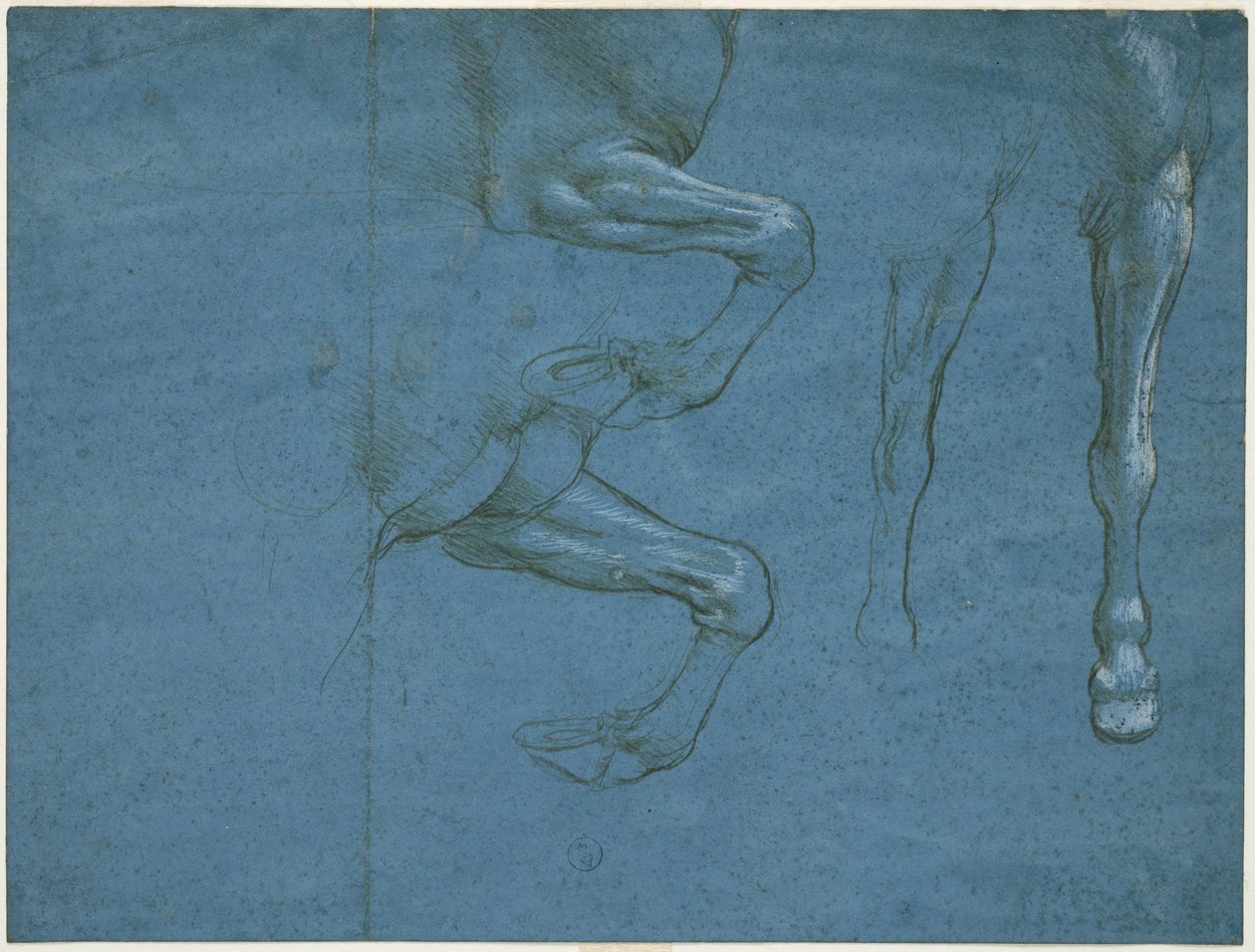 Studies of the forelimbs of the horse, c. 1490 by Leonardo da Vinci