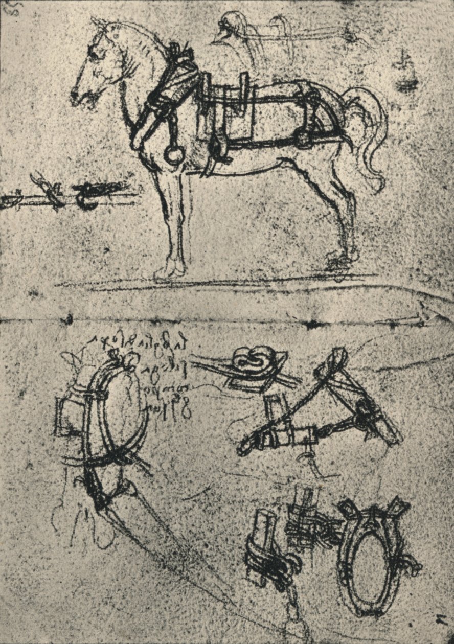 A Harnessed Cart-Horse and Studies of Harness by Leonardo da Vinci