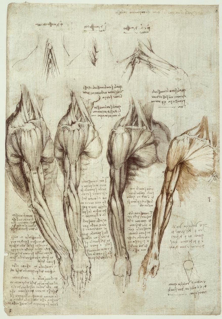 10 Berühmte Gemälde Von Leonardo Da Vinci