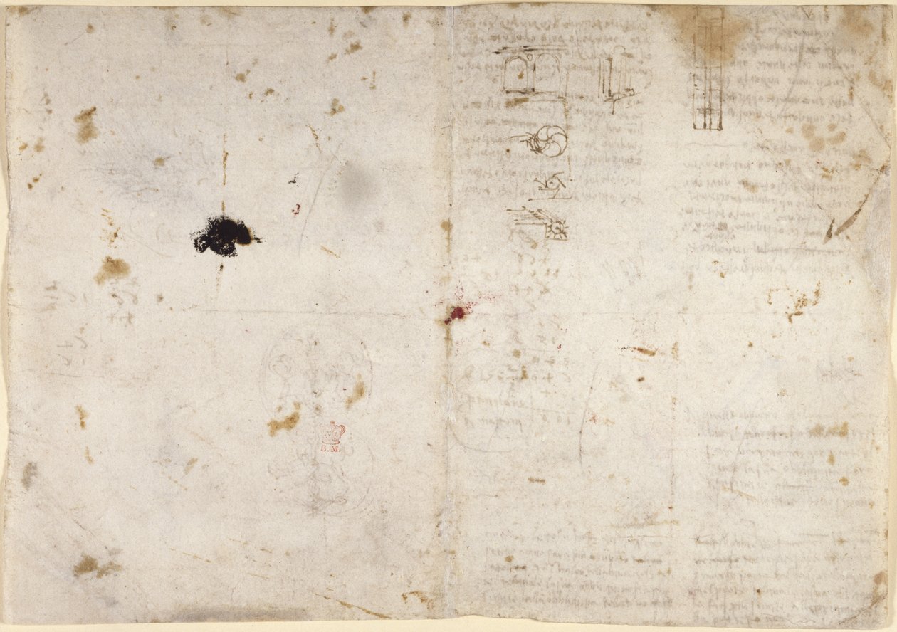 Drawings on the mechanical powers and forces, percussion, gravity, motion, optics and astronomy, with various arithmetical and geometrical propositions by Leonardo da Vinci