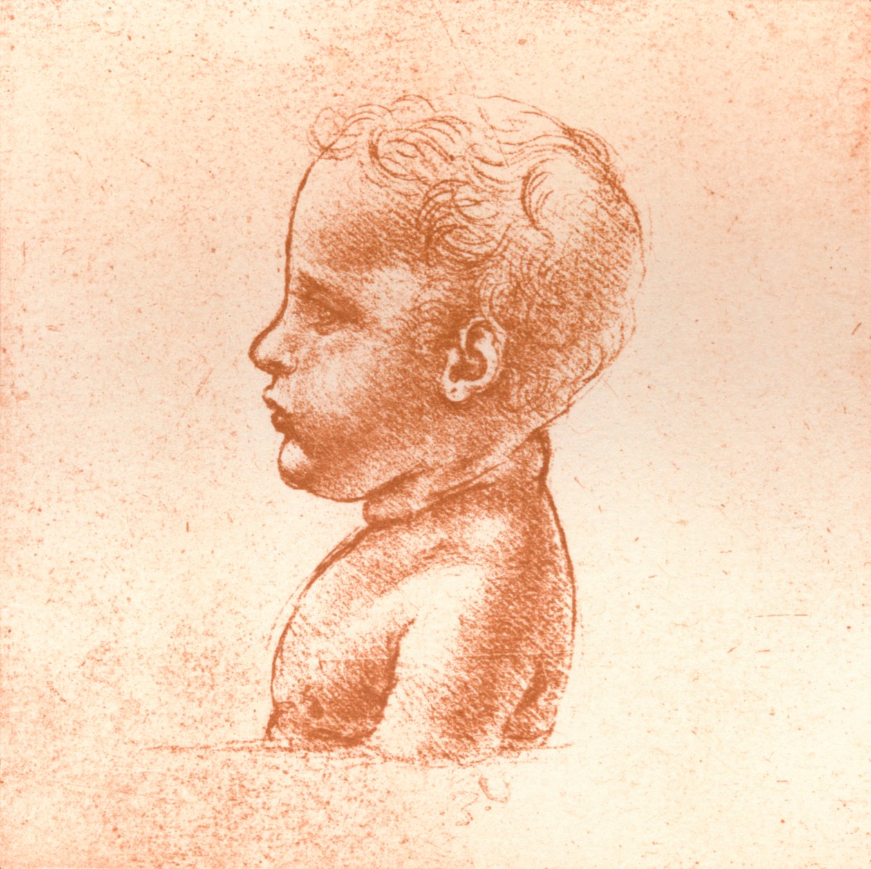 Bust of a Boy by Leonardo da Vinci