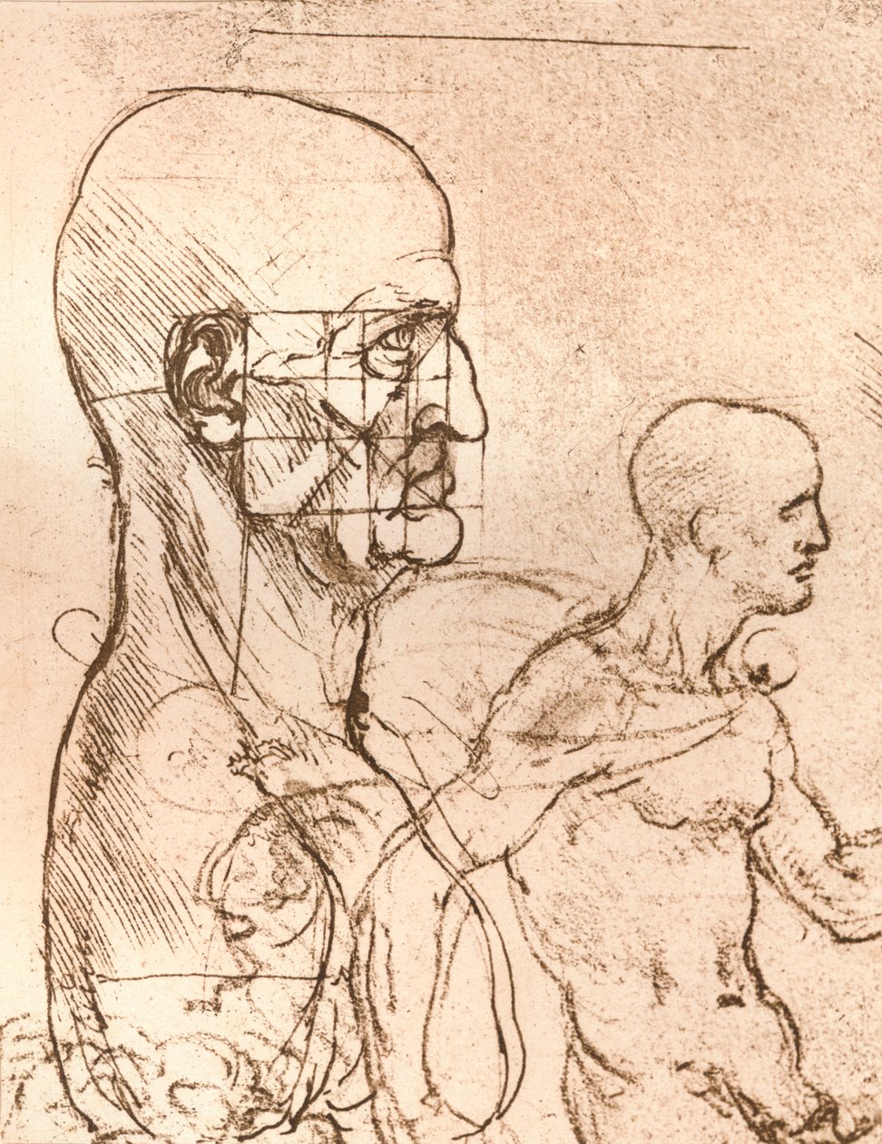 Drawing Illustrating the Theory of the Proportions of the Human Figure by Leonardo da Vinci