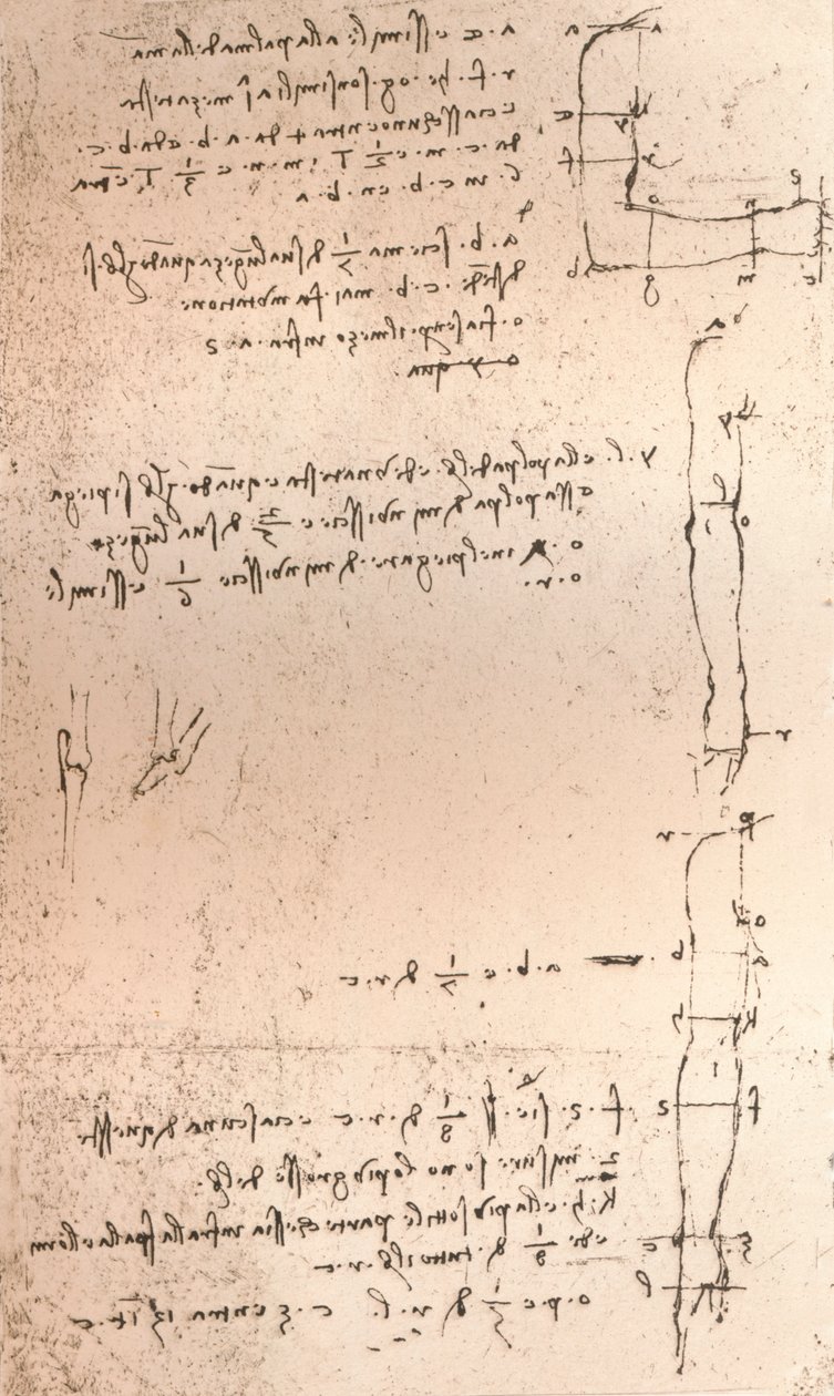 Drawing Illustrating the Theory of the Proportions of the Human Figure by Leonardo da Vinci