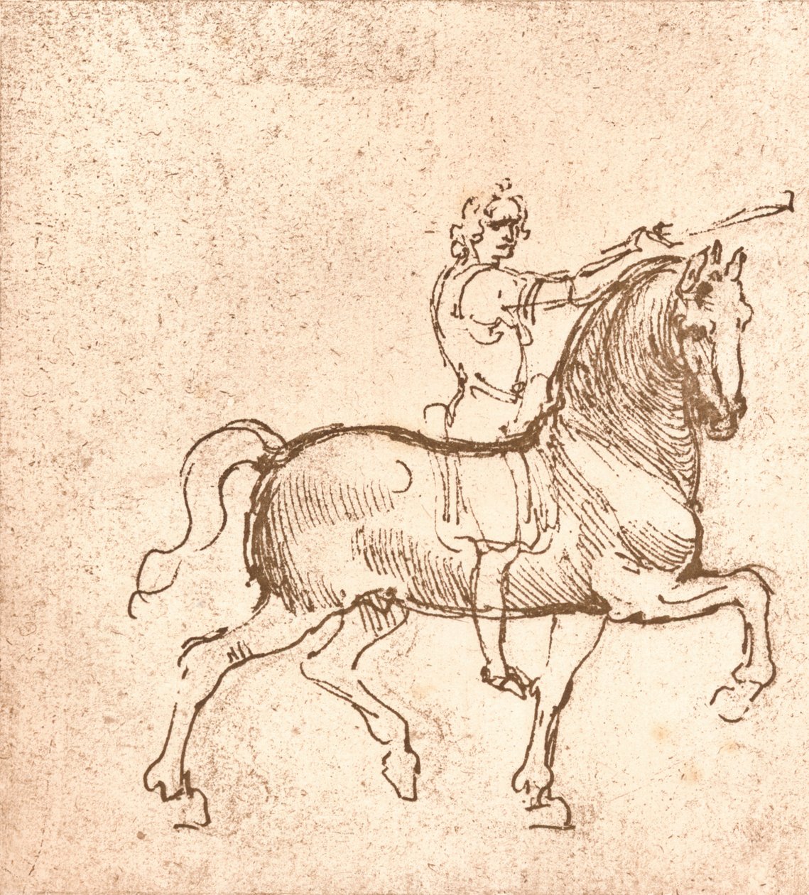 Drawing of a Walking Horse by Leonardo da Vinci
