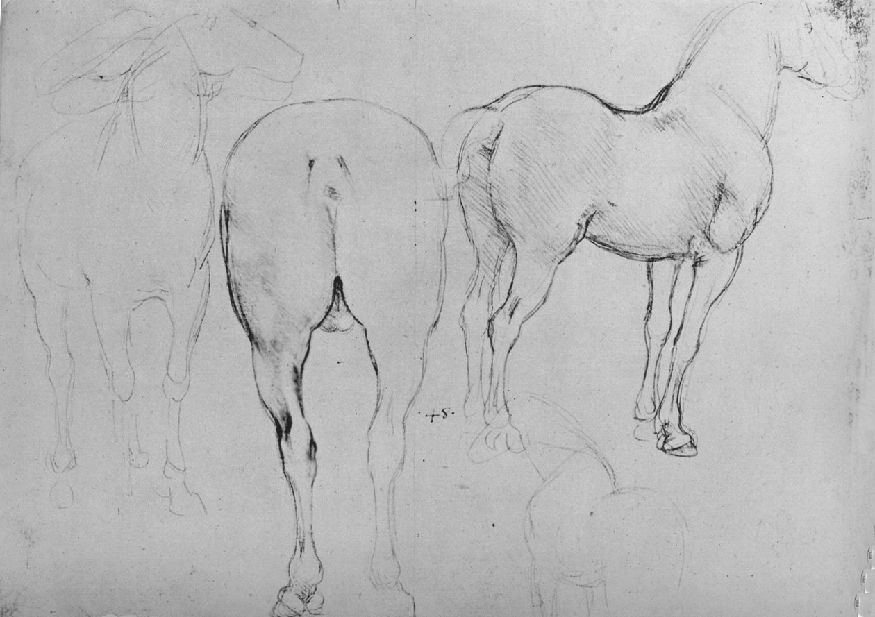 Four Sketches of Horses by Leonardo da Vinci