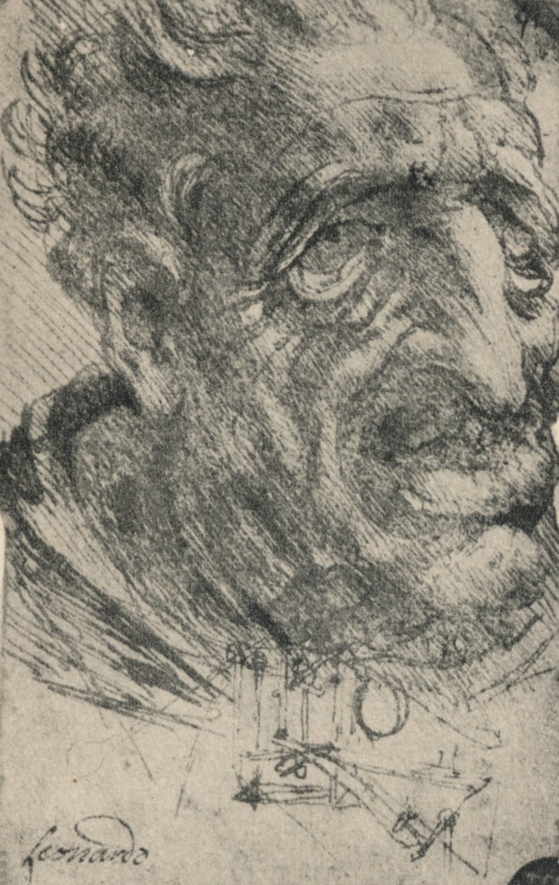 Grotesque Head of a Man Turned Three-Quarters to the Right by Leonardo da Vinci