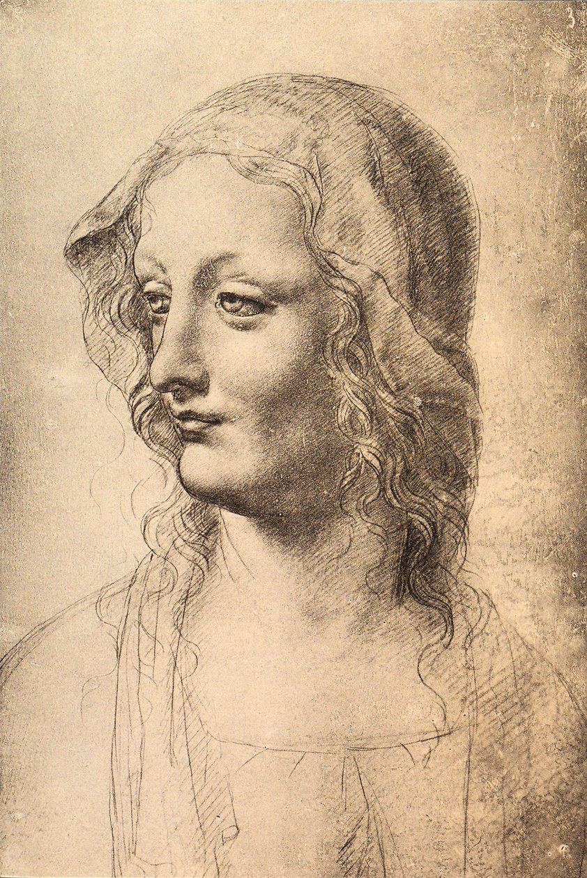 Head of a Young Woman by Leonardo da Vinci