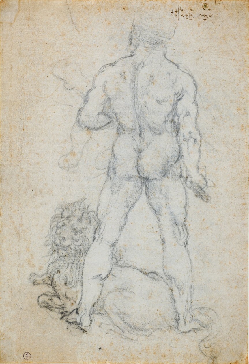 Hercules and the Nemean lion, c. 1506-08 by Leonardo da Vinci