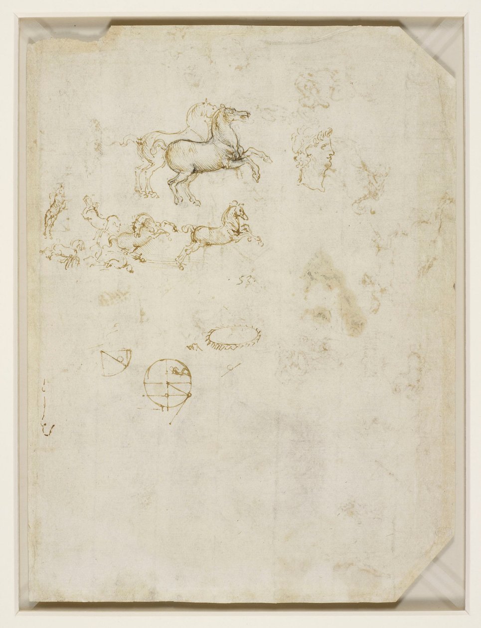 Prancing Horses and the Head of Nero by Leonardo da Vinci