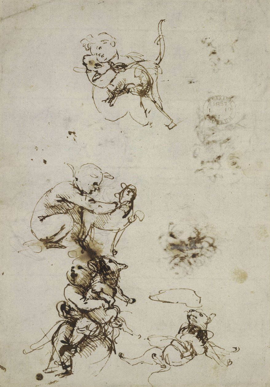 Leonardo da Vinci, Object 1857,0110.1 - Recto by Leonardo da Vinci