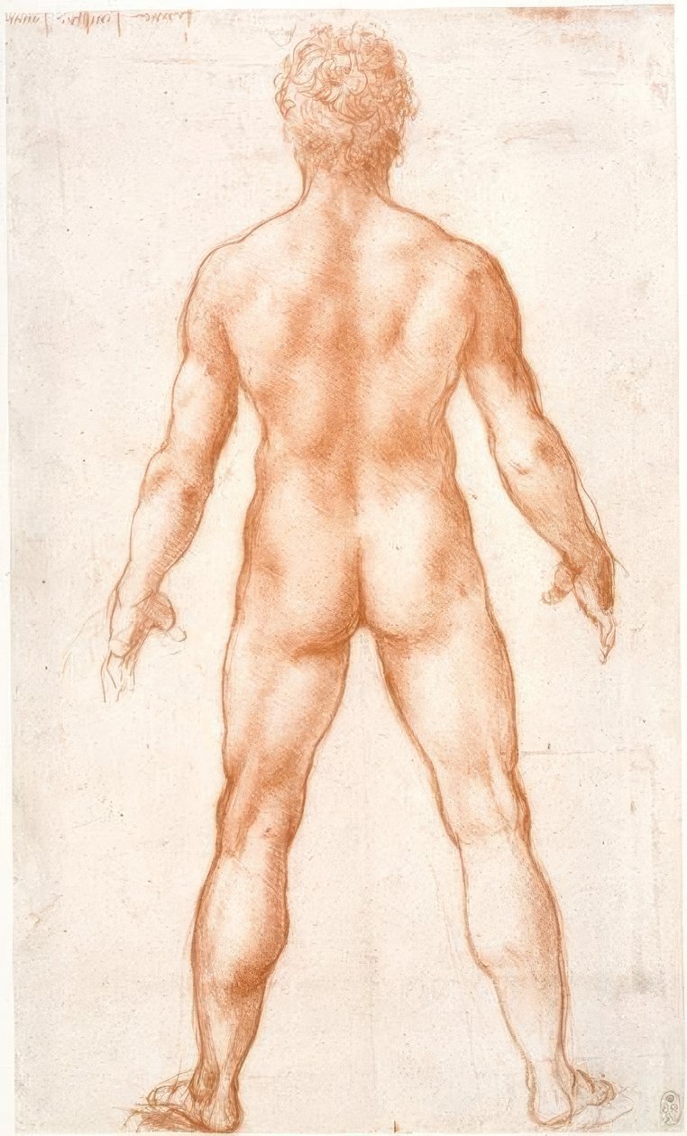 Male Nude from the Back by Leonardo da Vinci