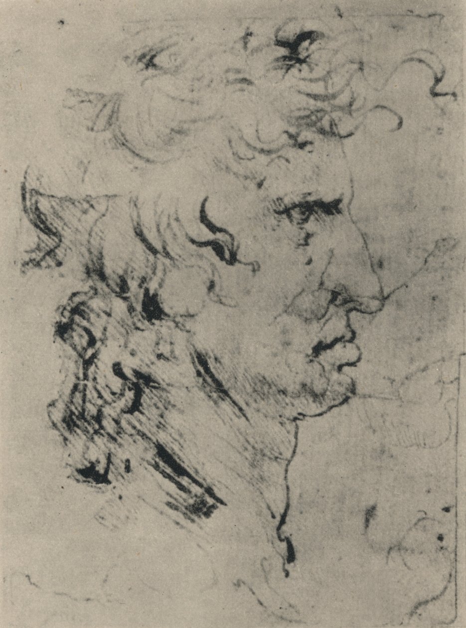 Profile of a Man to the Right by Leonardo da Vinci