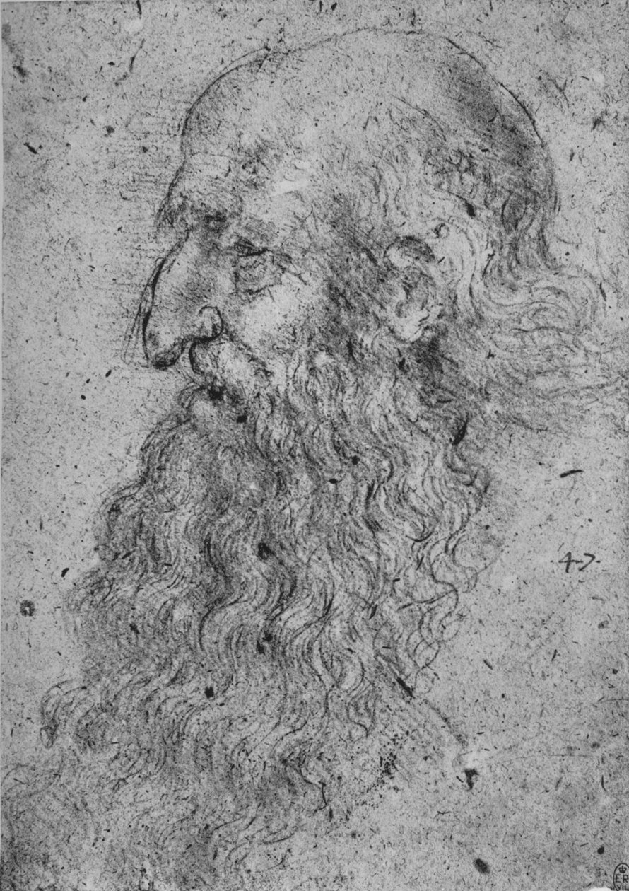 Profile of an Old, Bearded Man to the Left by Leonardo da Vinci