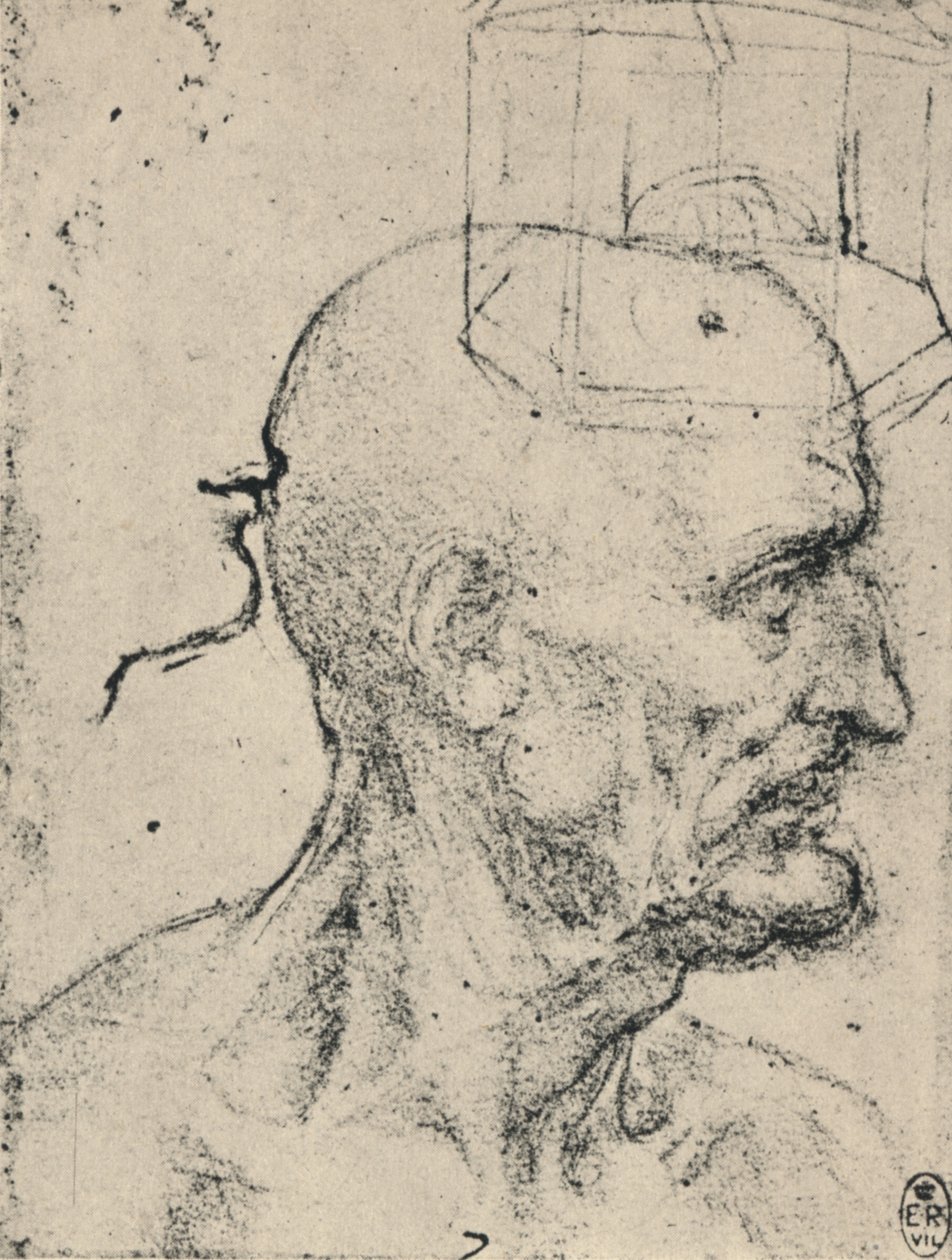 Profile to Right of a Bald Man, c1480, 1945 by Leonardo da Vinci